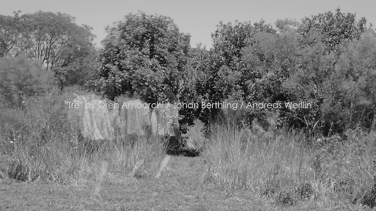 Oren Ambarchi / Johan Berthling / Andreas Werliin 