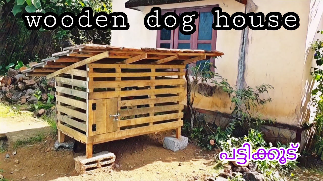 Build  a Simple Wooden Dog house(watch in 360p or above)