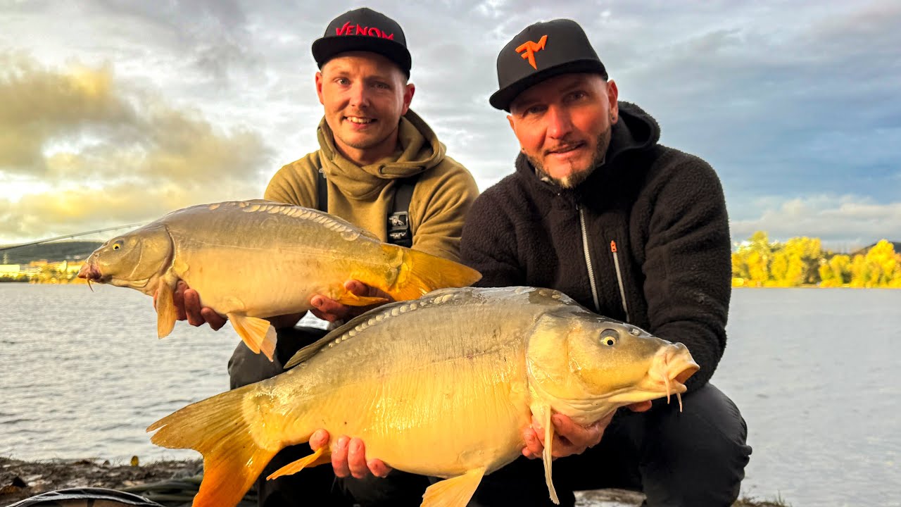 FEEDERMANIA- Method horgászat FM teszthorgászokkal a Törökkbalinti horgászparkban. Method fishing.