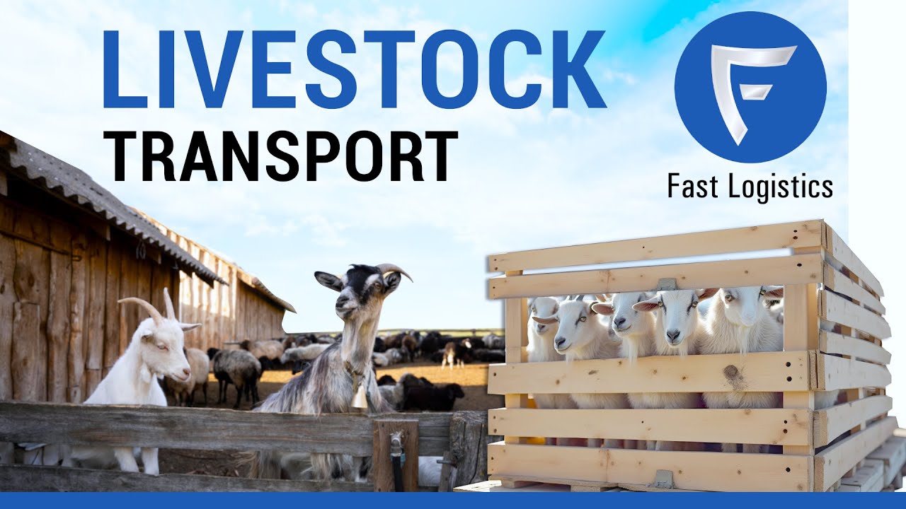 Fast Logistics | Livestock Transport | Animal Transport | Live Animal Transportation