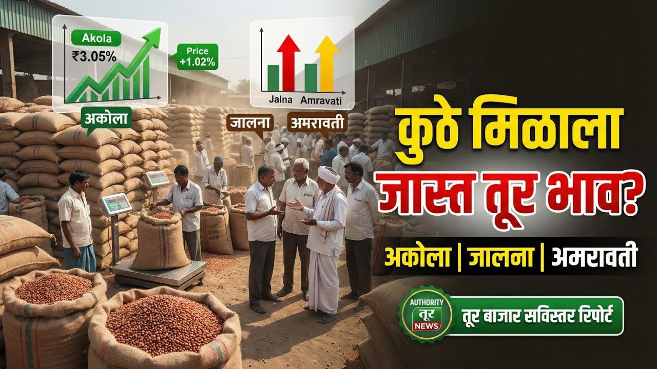 आजचे तूर बाजारभाव LIVE | महाराष्ट्र APMC तूर दर विश्लेषण | Tur Bazar Bhav Today | तूर विकू की थांबू?