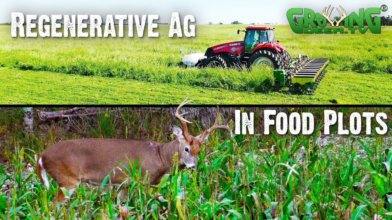 Discover the Secret to Growing Abundant Crops - Expert Tips Inside! (749)