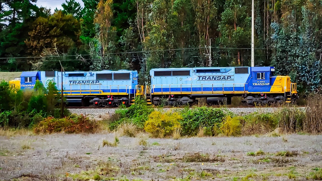 Trenes de carga en la región del Bio Bio, Chile (recopilación TRANSAP y FEPASA)