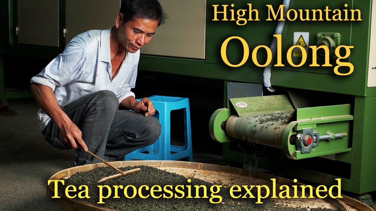 High Mountain Oolong: the most insane tea ever made