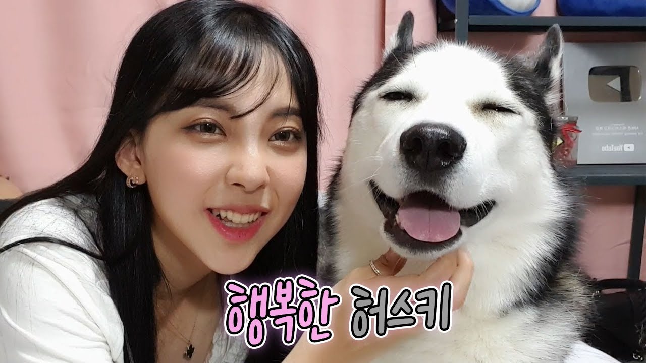심쿵주의! 행복한 허스키의 미소♥ [까꿍이네 Daily Life]