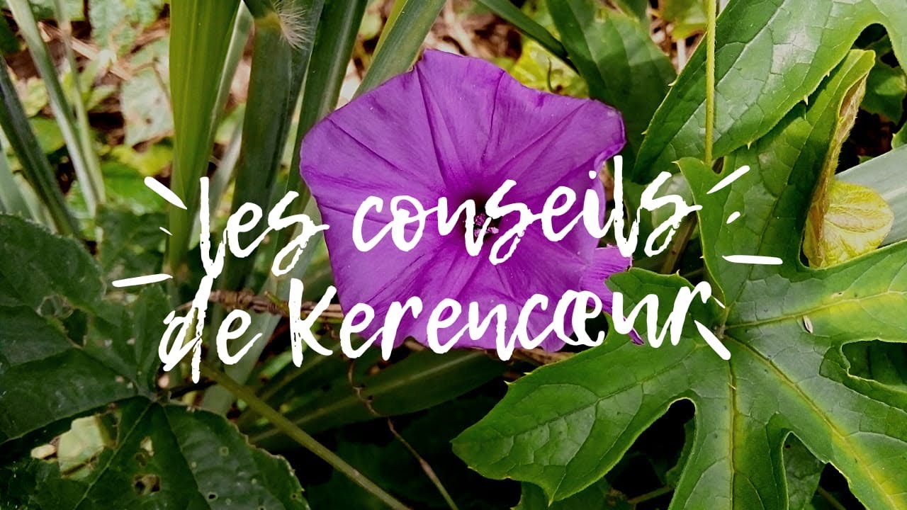 Le péché qui me combat /sous thème :Nul n’est parfait 