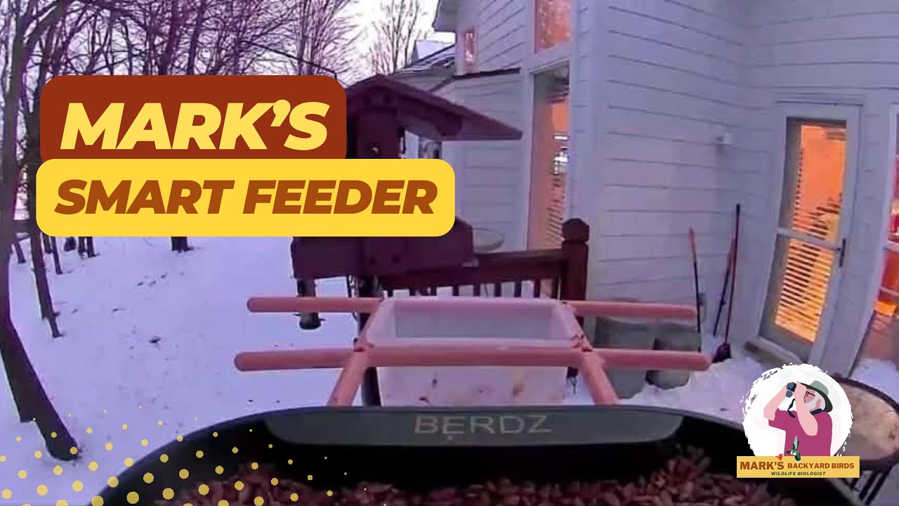 Mark's Smart Feeder