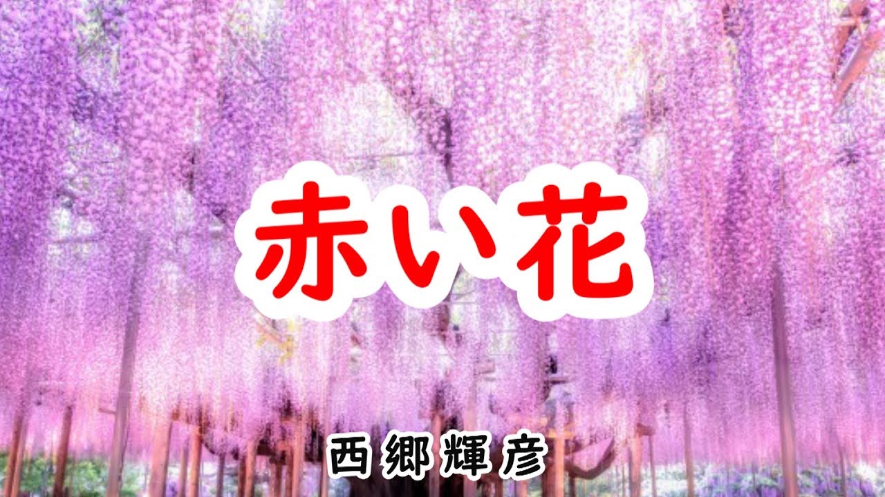赤い花　宴 　西郷輝彦