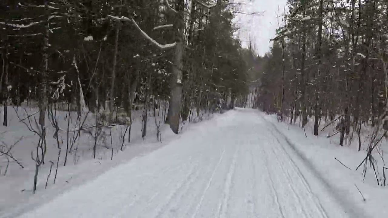 Florence 2-26-26 GX020157