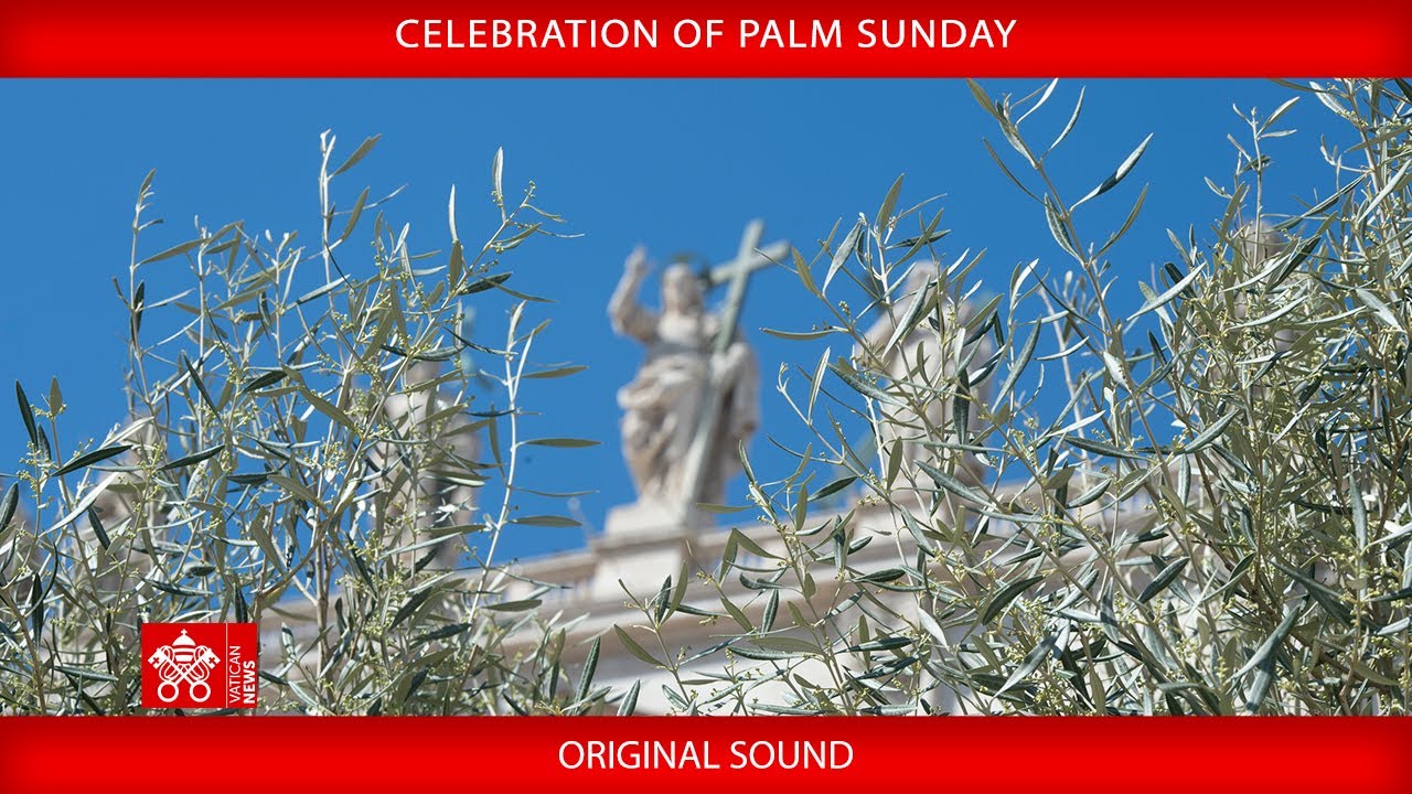 13 April 2025 Celebration of Palm Sunday | Cardinal Leonardo Sandri
