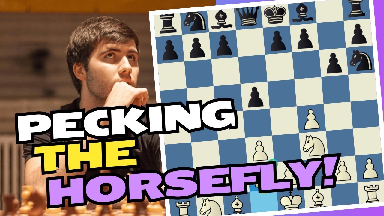 Pecking the Horsefly! 2600 Rapid Chess!