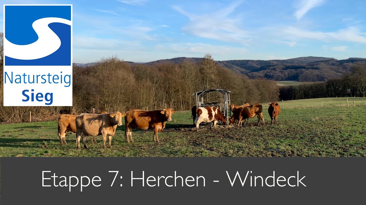 Natursteig Sieg mit Hund - Etappe 7: Von Herchen nach Schladern (23 km)