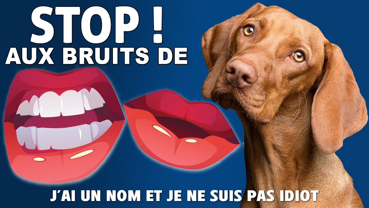 Ton CHIEN a UN NOM alors UTILISE-LE