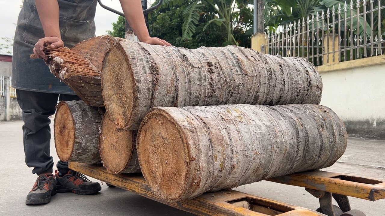 Insane Transformation! 30-Year-Old Carpenter Turns Coconut Tree into Luxury Furniture
