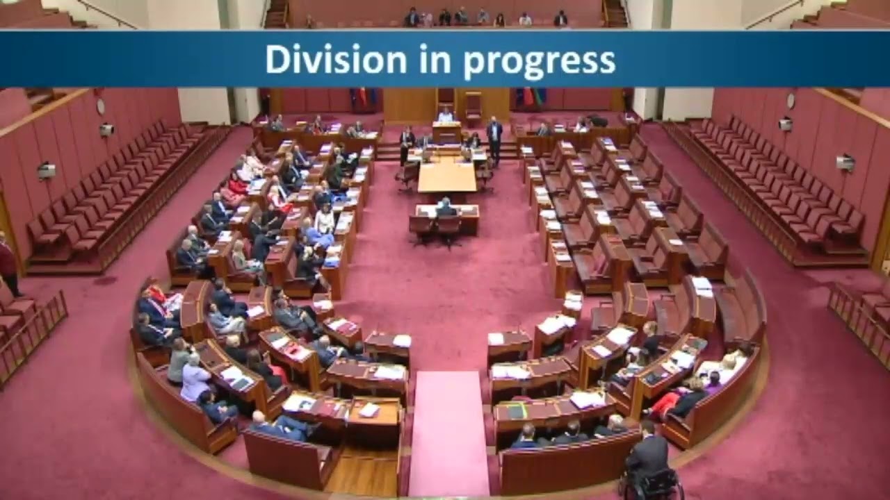 Full Debate on Senator Lidia Thorpe's Suspension from the Australian Parliament
