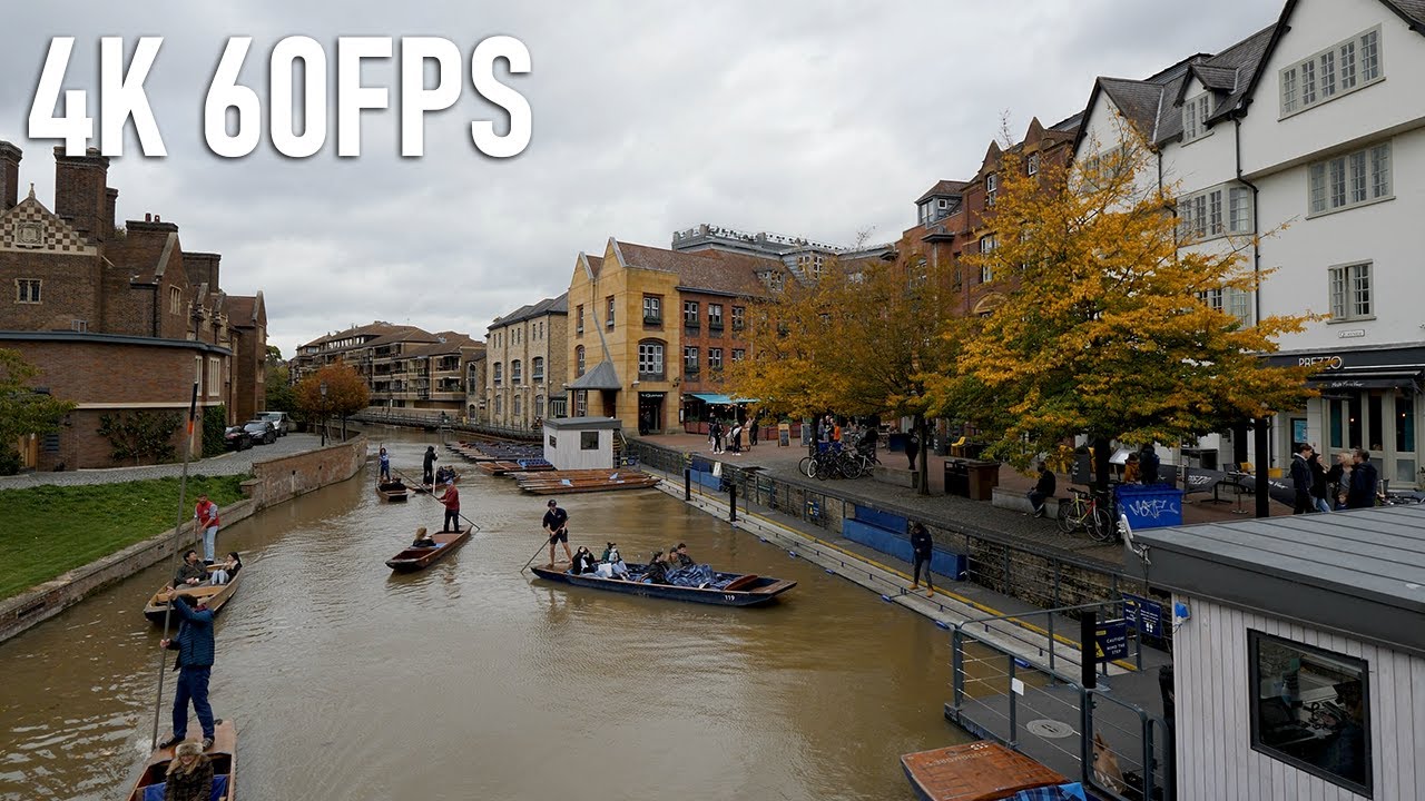 Autumn walk in Cambridge: Red Leaves and Universities