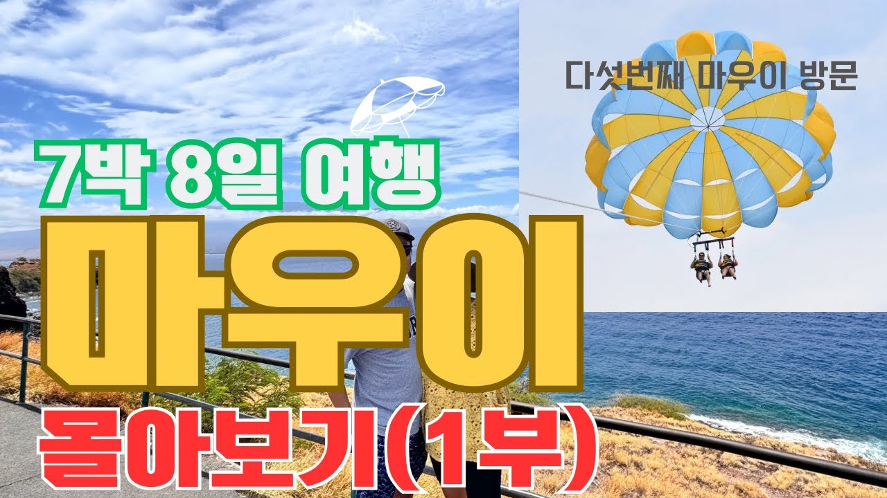 50세 이상은 더늙기전에 가봐야하는 마우이여행/화재이후 마우이는 어떨까?/역대급 하나하이웨이