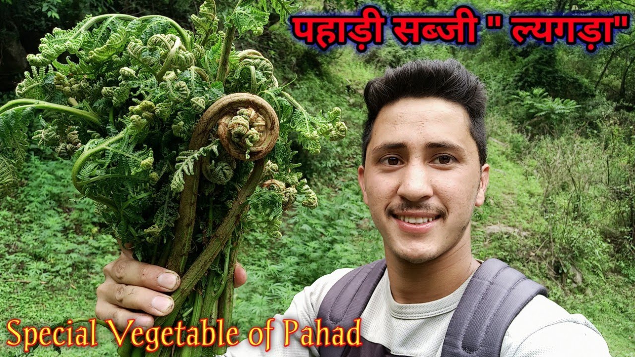पहाड़ी सब्जी 