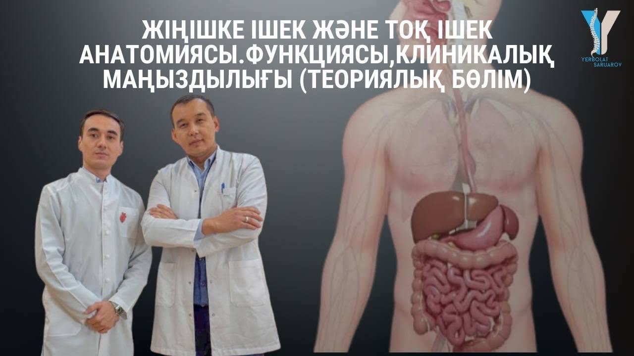 Жіңішке және жуан ішек анатомиясы, функциясы, клиникалық маңыздылығы (теориялық бөлім)