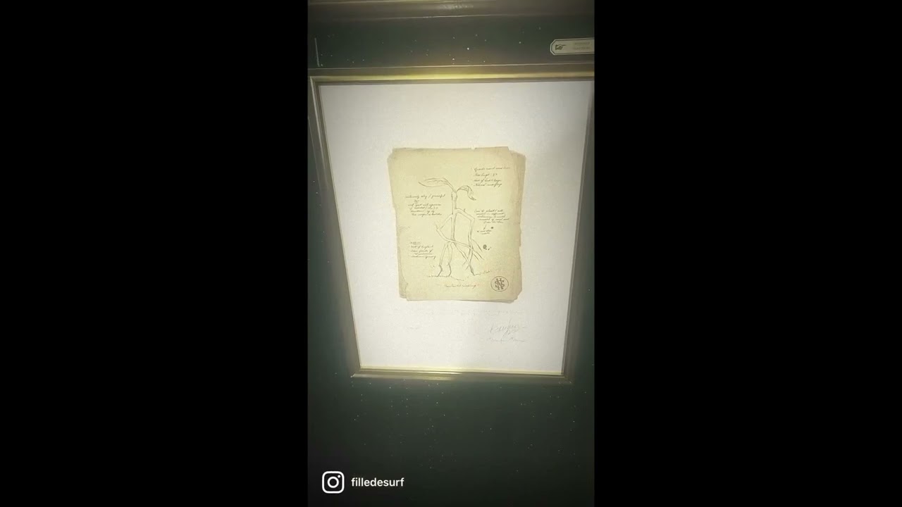 MinaLima Vlog