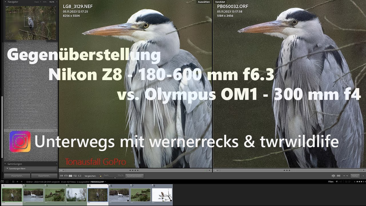 𝑔ₑ𝑔ₑ𝑛ü𝑏ₑᵣ𝑠𝑡ₑԼԼᵤ𝑛𝑔 NIKON Z8 180-600mm & Olympus OM1 300 mm F4 | Ⅎ∀ZI⊥ | Wildlife Fotografie