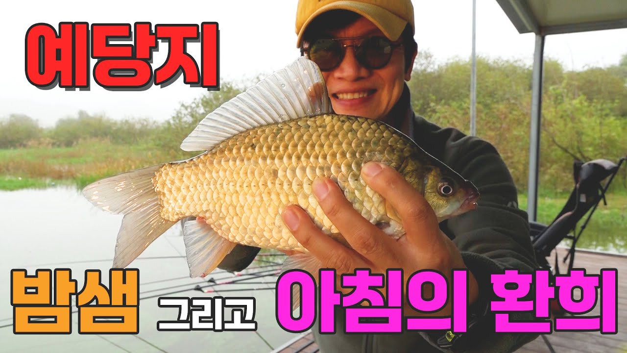 예당지가 토종터가 됐다🐟 대물낚시 시작!,도덕골좌대,두칸반의별밤,용인낚시쇼핑몰
