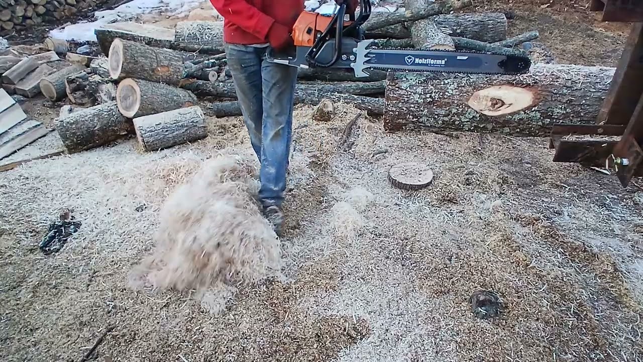 Holzfforma G660 making noodles 28