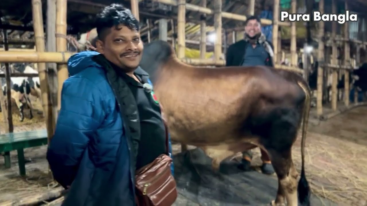 গাবতলী হাটে আগুন! আকরাম ভাই দৈত্যাকার গরু কিনলেন লাইভ — আজ হুলুস্থুল🔥 | Akram Vai Goru Buy