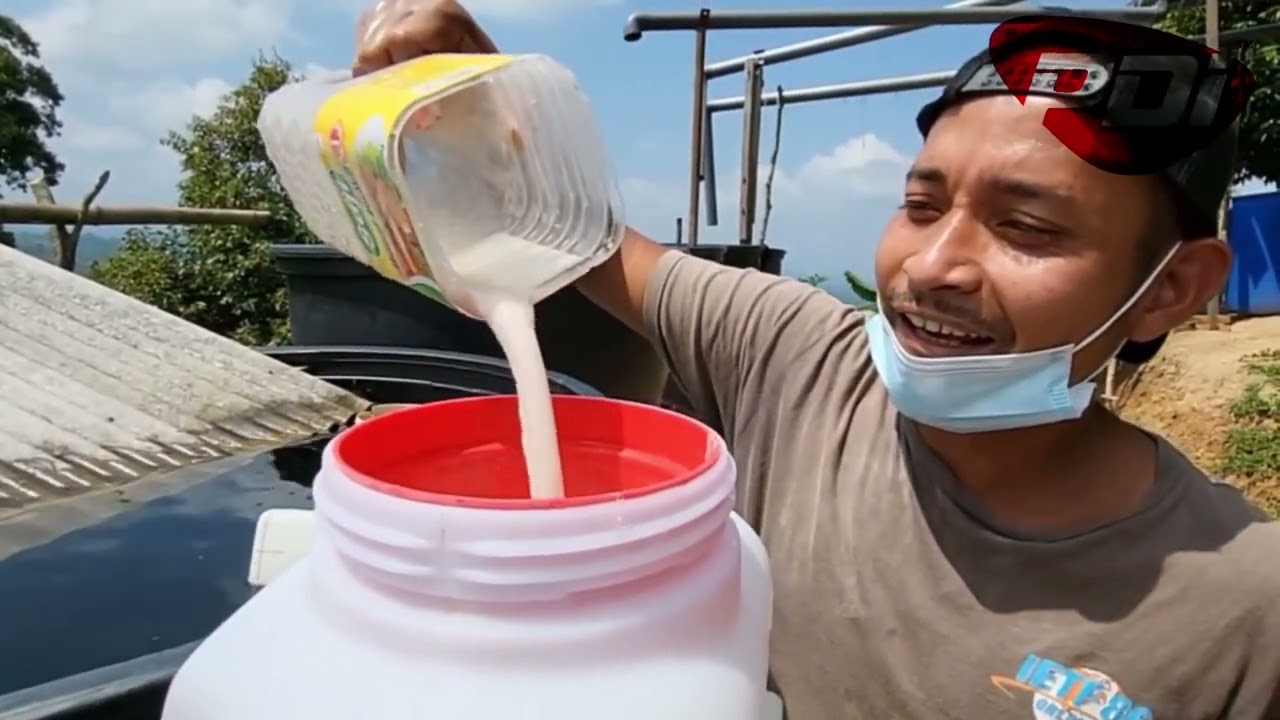 DURIAN KANKER | CARA BANCUHAN CAIR DOLOMITE
