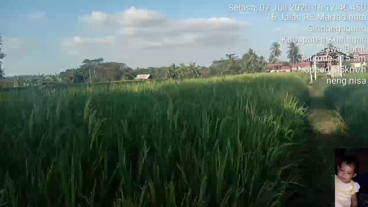 PANG5