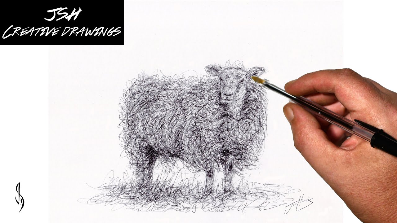 Sheep Scribble Art Drawing with a Biro Pen