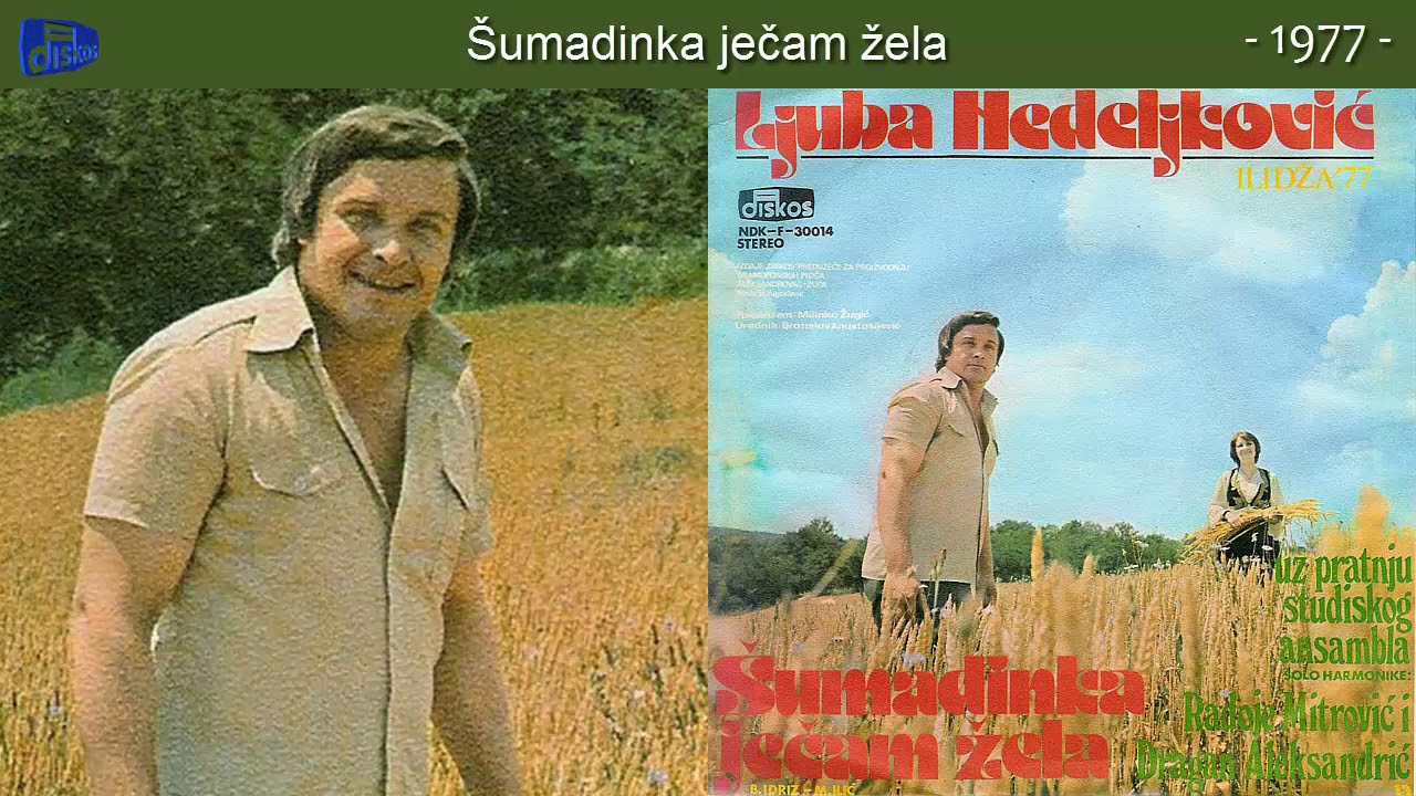 Ljuba Nedeljkovic - Sumadinka jecam zela - (Audio 1977)