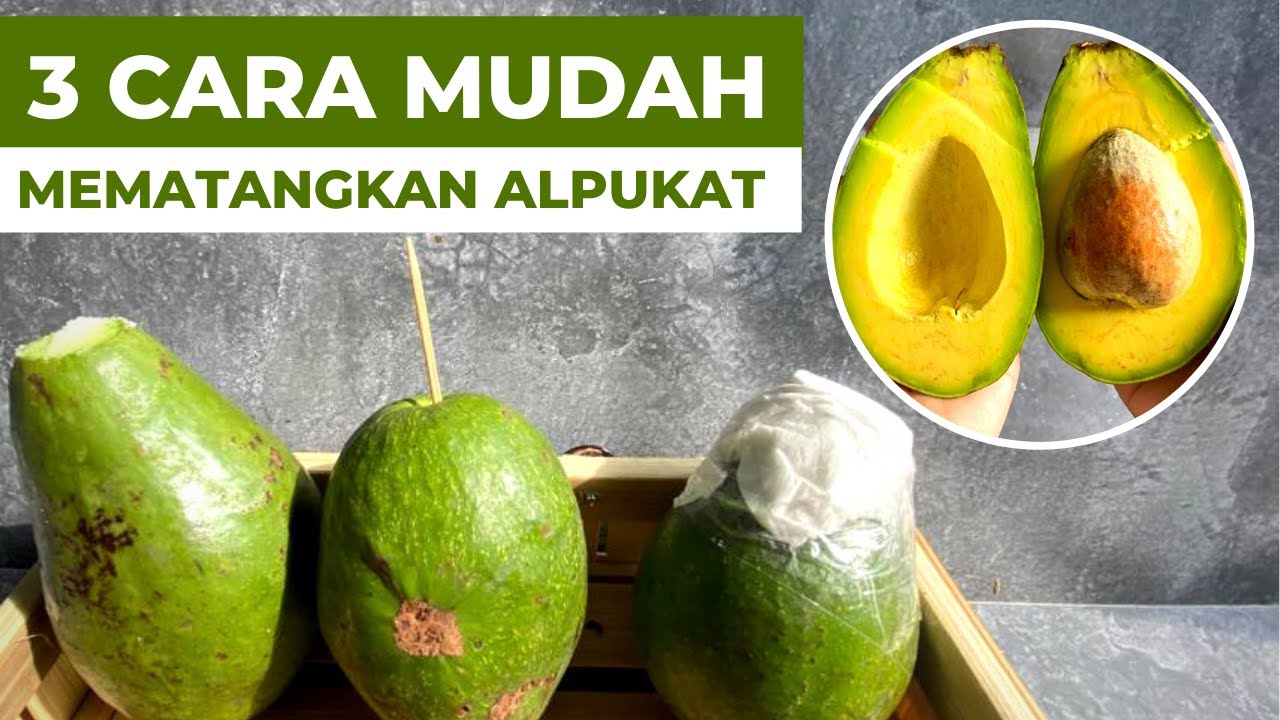 Wajib Coba! Ini 3 Cara Mematangkan Alpukat