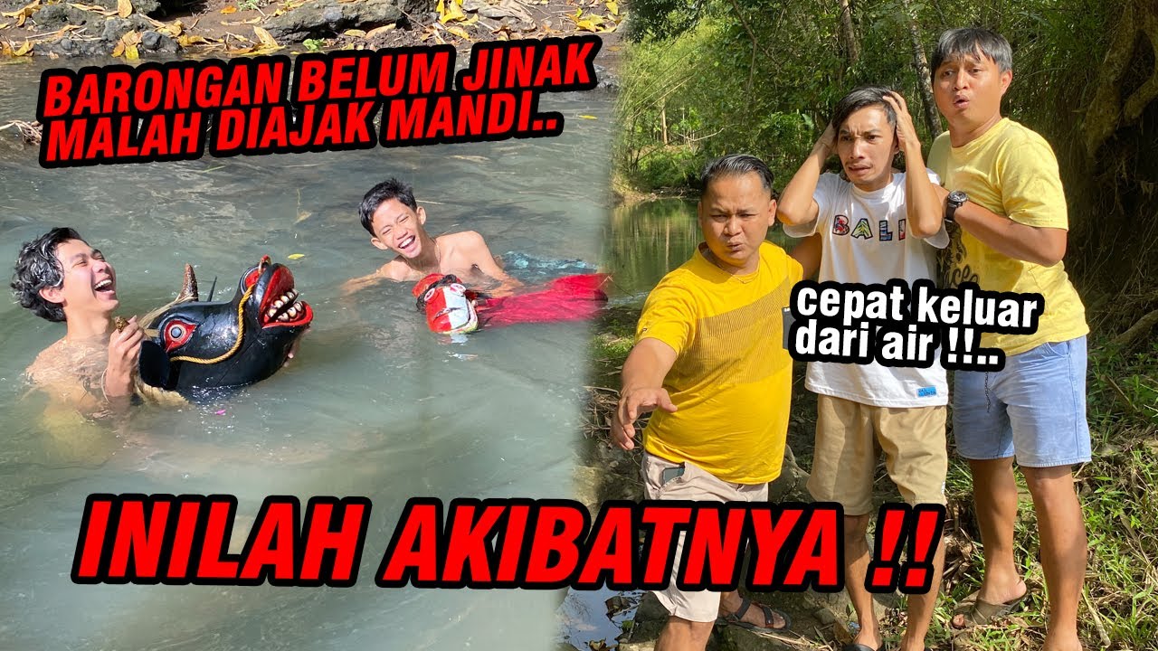 Gara-gara mainin barongan yang belum jinak !! ENTHUL SAMPE NANGIS