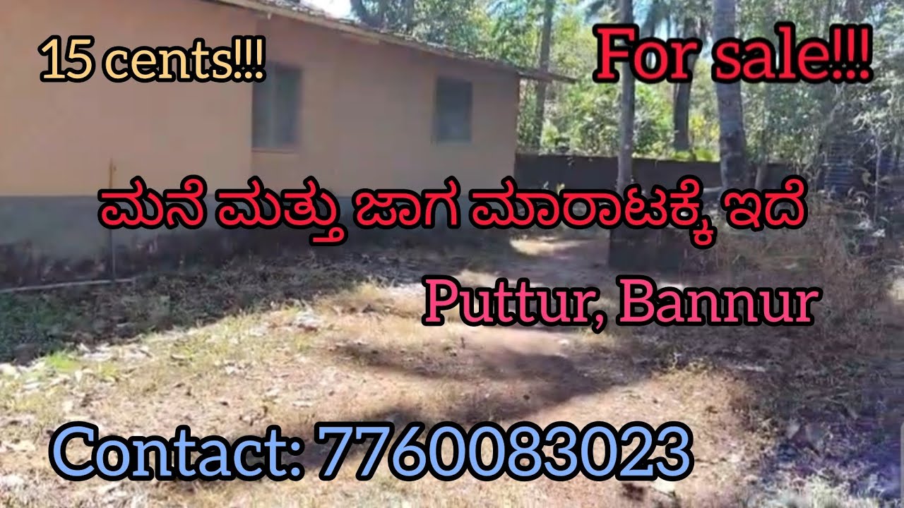 Land and house for sale! ಮನೆ ಮತ್ತು ಜಾಗ ಮಾರಾಟಕ್ಕೆ ಇದೆ| Puttur, Bannur| 15 cents property #youtube 