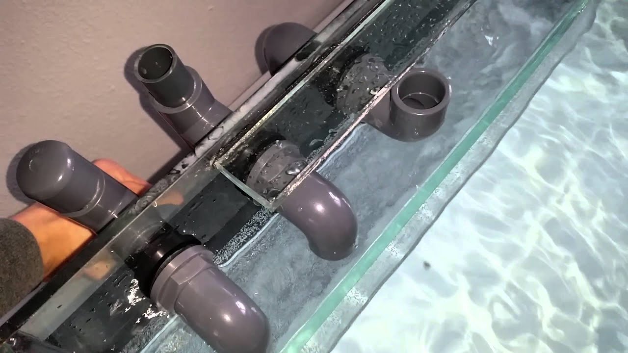 Bean animal overflow on my 200 litre marine converted tank