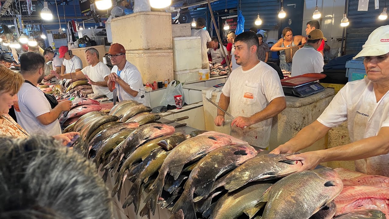 Farturas do imenso Amazonas na feira de peixes frescos #manausamazonas #amazon #fishing #pescaria