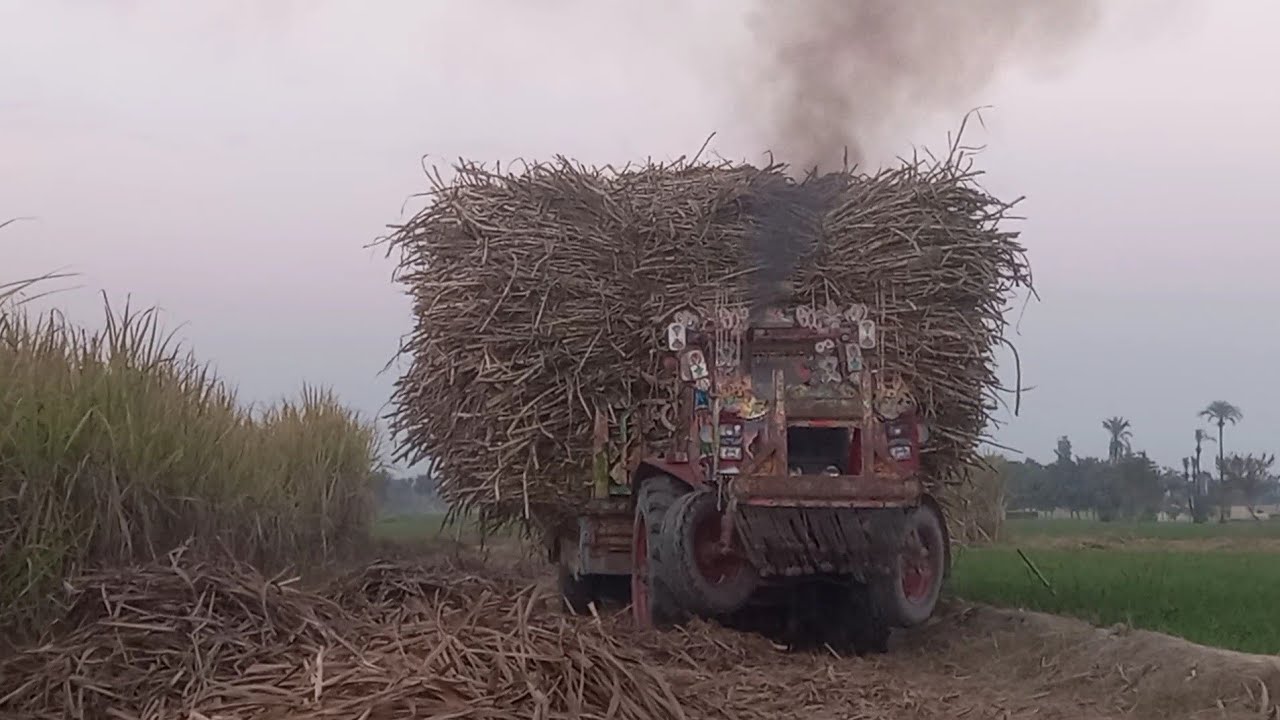 Tractor belarus video clip