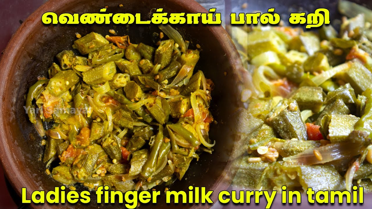 சுவையான வெண்டைக்காய் பால்கறி | Ladies Finger milk curry in tamil |  jaffna Vendakkai white curry