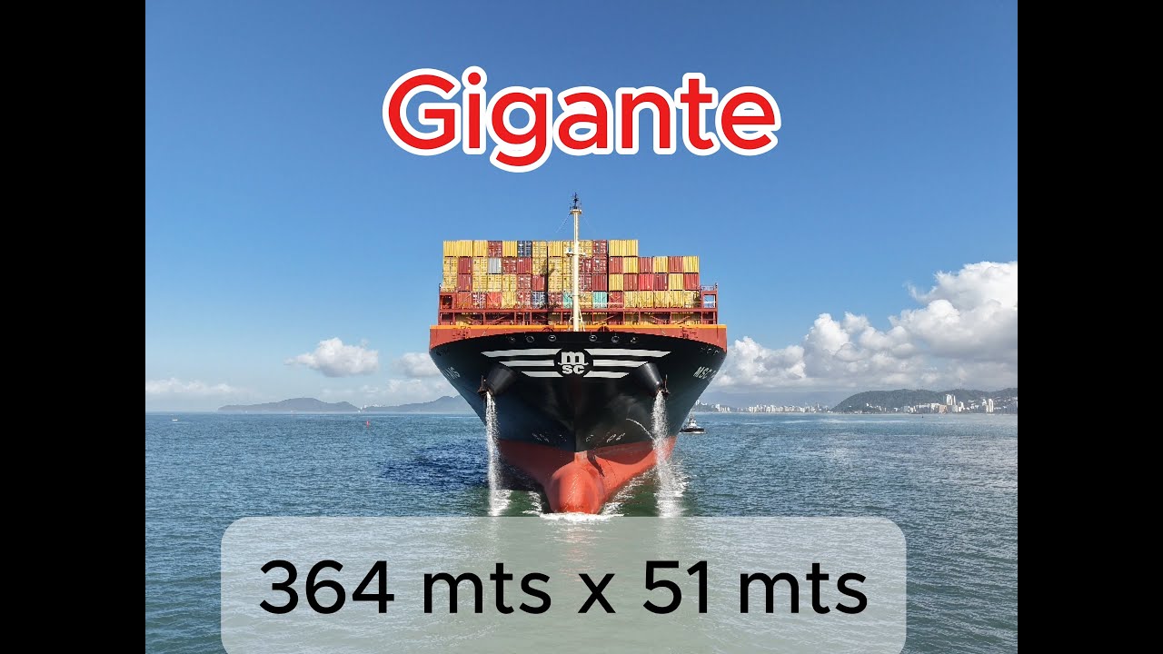 Gigante no Porto de Santos -  MSC Thais.