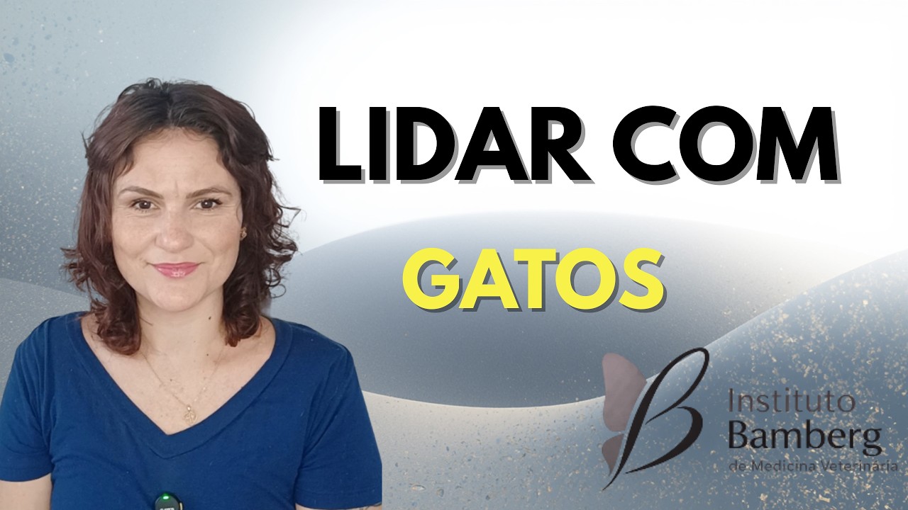 Gatos Domésticos, você realmente os conhece?