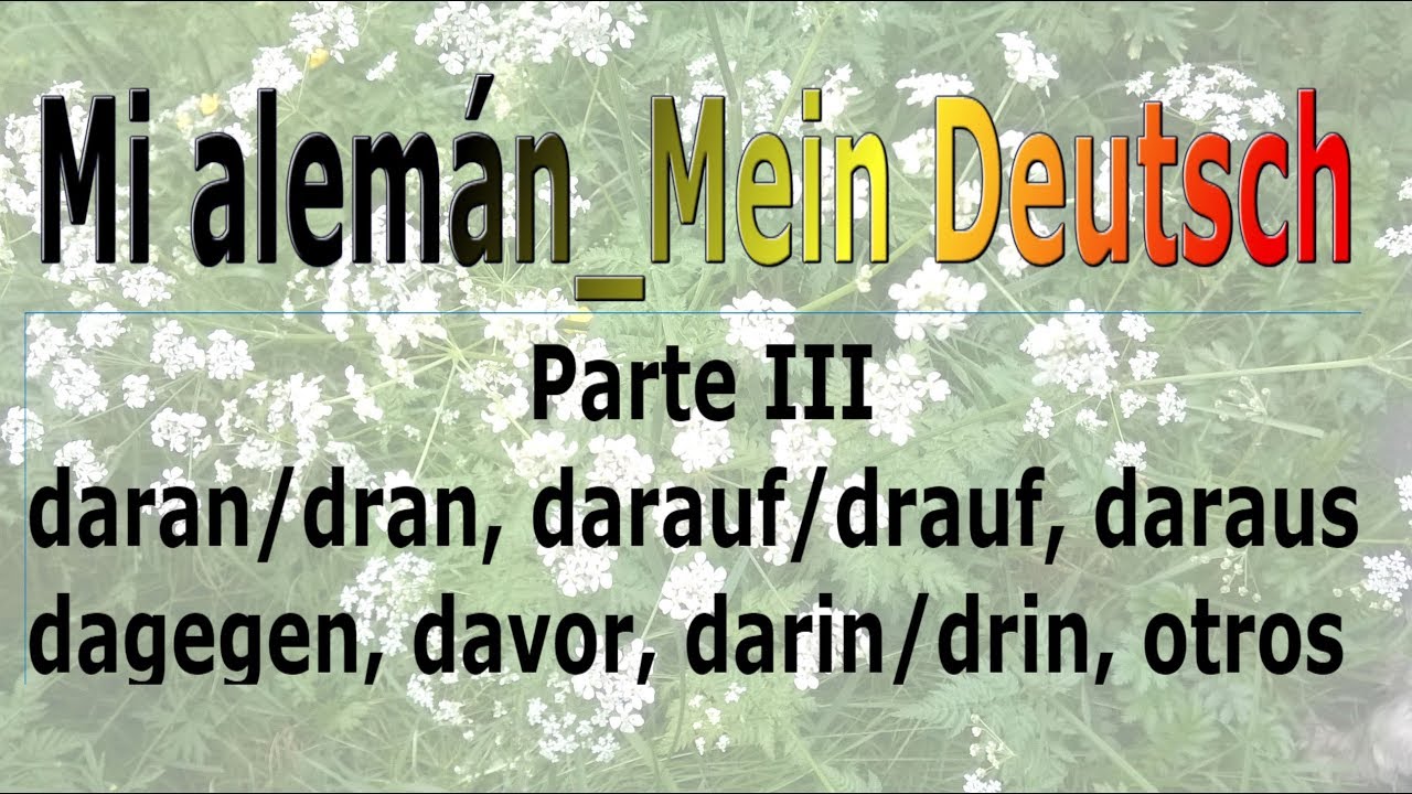 Mialemán Mein Deutsch daran dran, darauf drauf, daraus, dagegen, davor, darin drin, otros