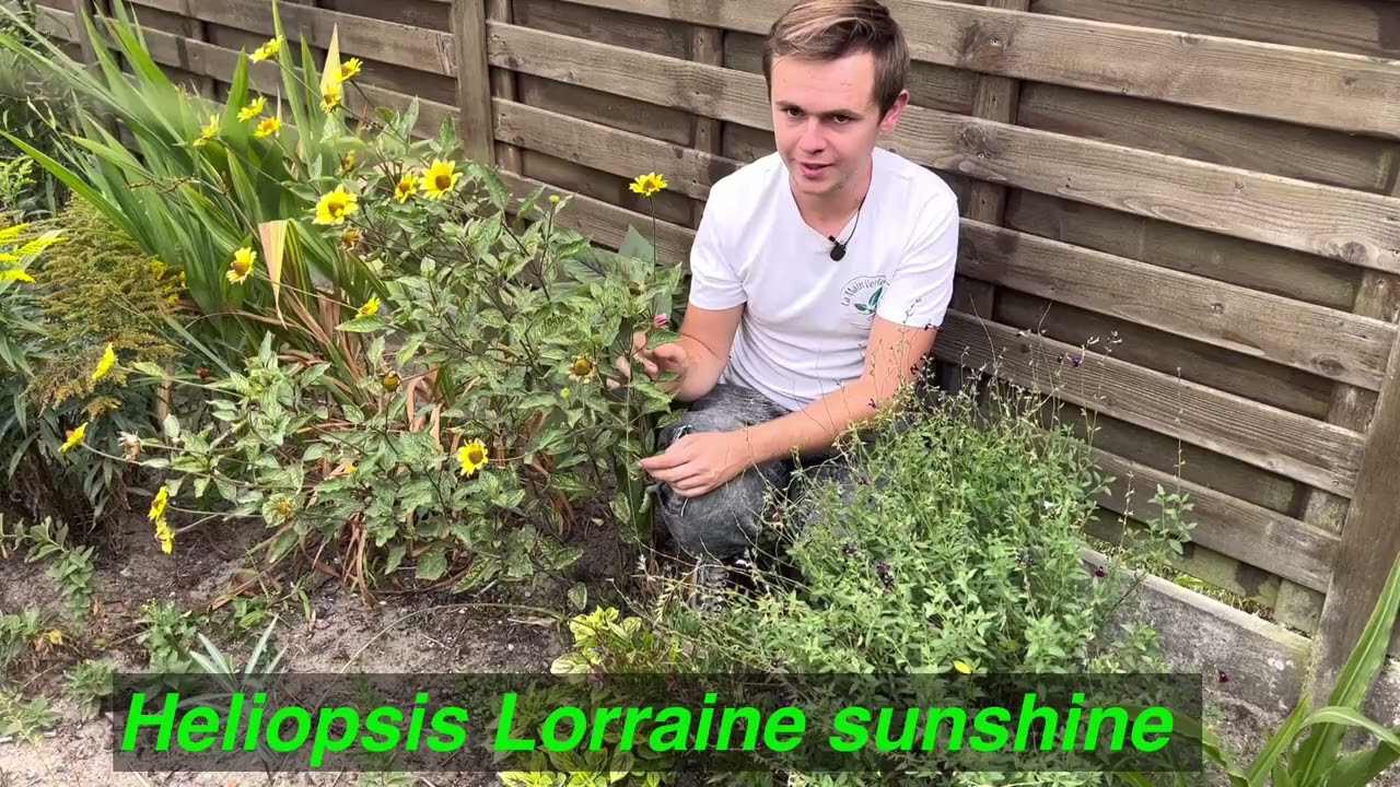 Plantes de sécheresse!