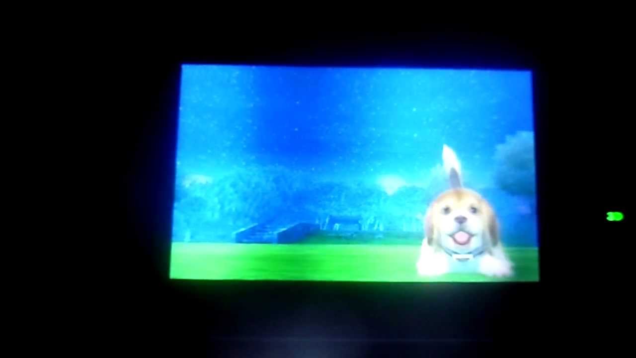 Nintendogs + Cats: Spotpass  7 - Lyndon Johnson