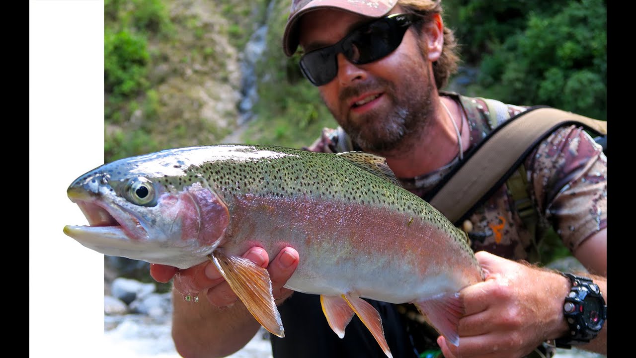 Fly Fishing New Zealand - Backcountry - Shadows of Silver
