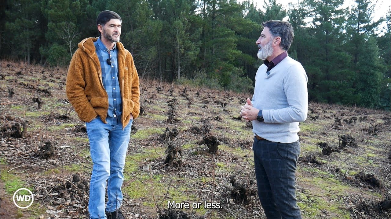 This Winery Uses Surprising Techniques To Make Unique Wine