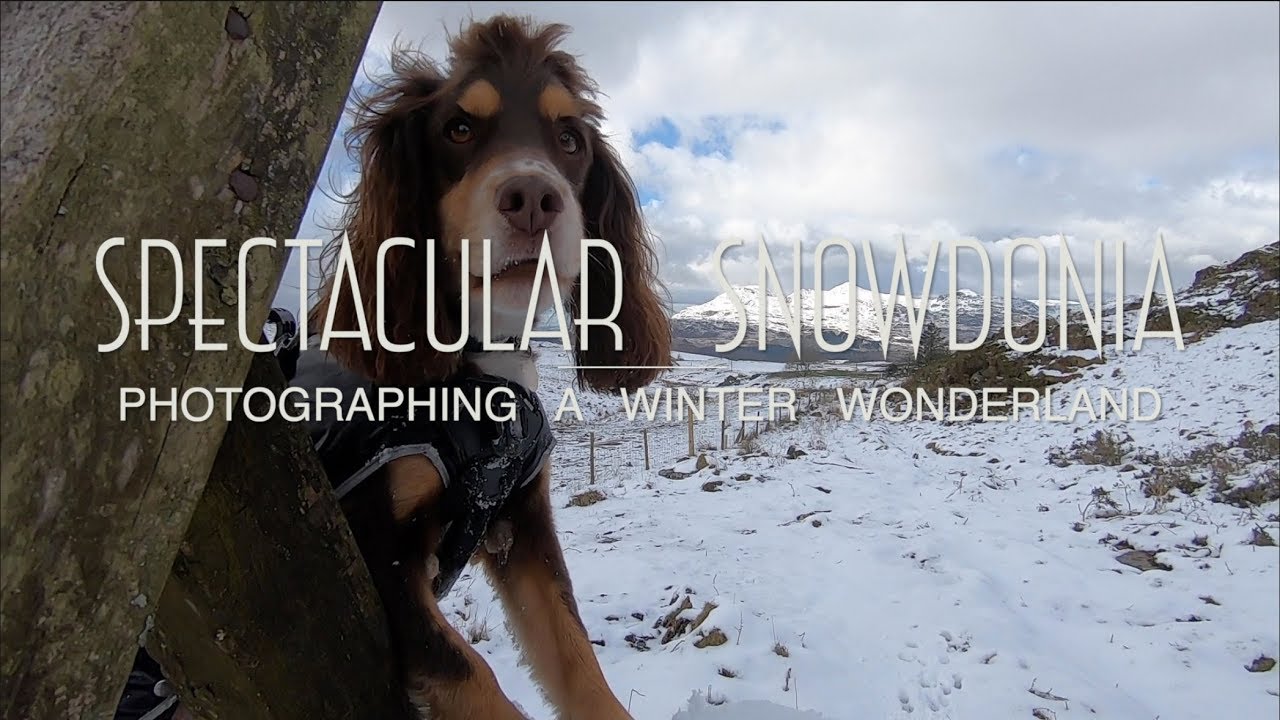 Landscape Photography | Photographing a Winter Wonderland