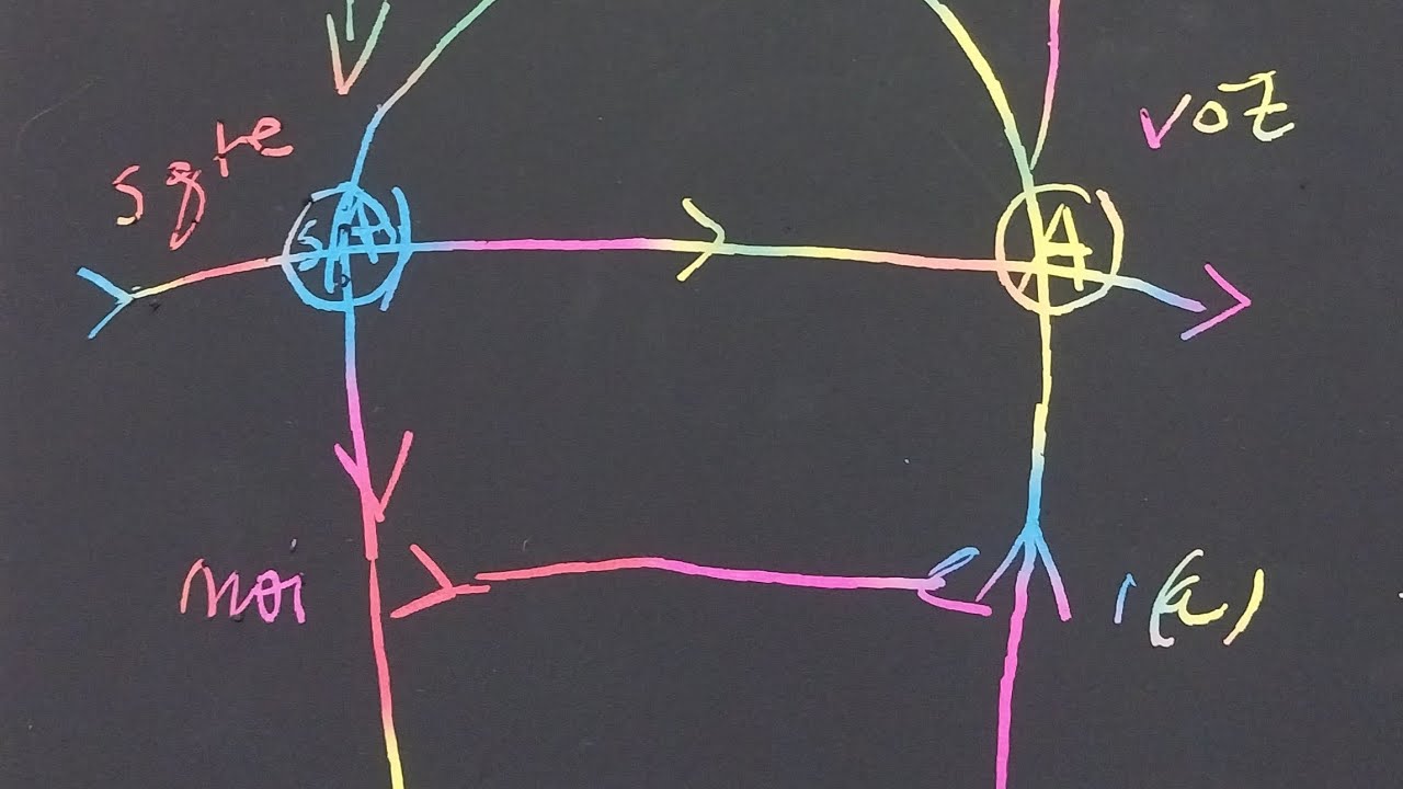 El grafo del deseo y la complejidad