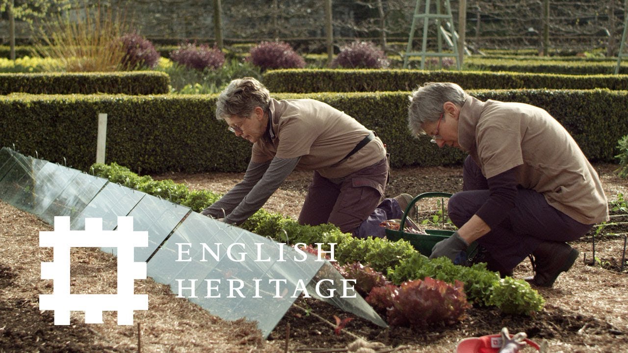 Walmer Castle Kitchen Garden: From Plot to Plate