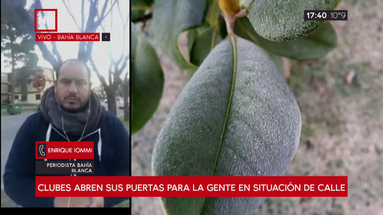 El frío en Bahía Blanca